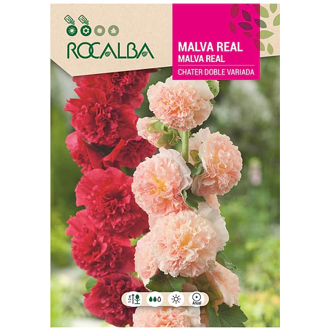 MALVA REAL DOBLE VARIADA