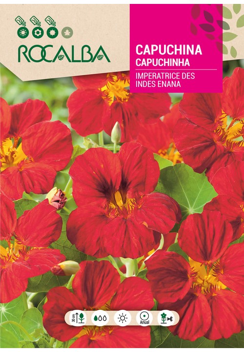 Semillas Capuchina Enana