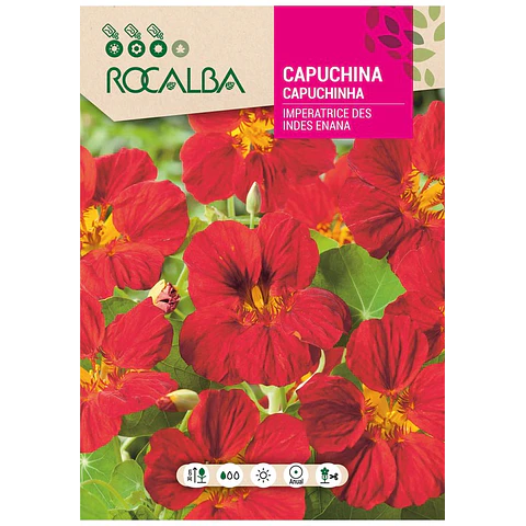 CAPUCHINA IMPERATRICE DES INDES ENANA