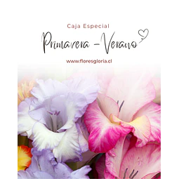 Caja especial PRIMAVERA-VERANO 🌼