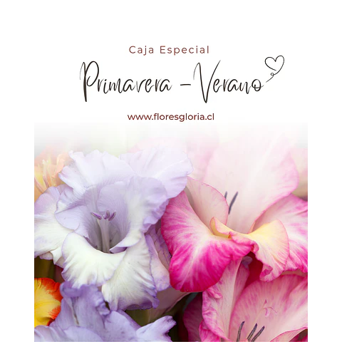 Caja especial PRIMAVERA-VERANO 🌼