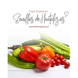 Caja especial MIX DE SEMILLAS DE HORTALIZAS🌿
