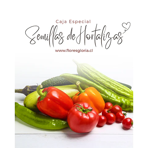 Caja especial MIX DE SEMILLAS DE HORTALIZAS🌿