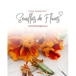 Caja especial MIX DE SEMILLAS DE FLORES