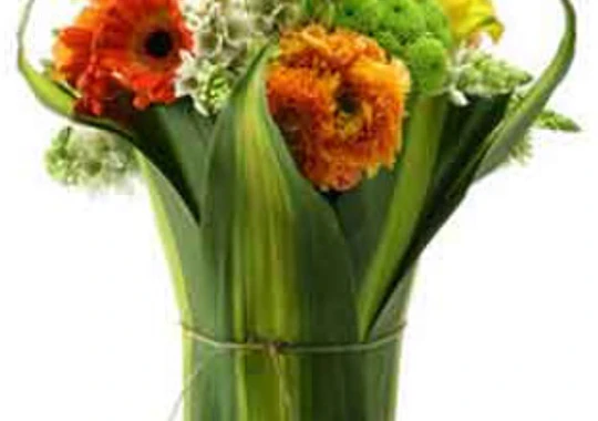Flores Paula Rivas