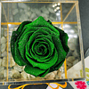 Rosa Eterna Verde Diamante