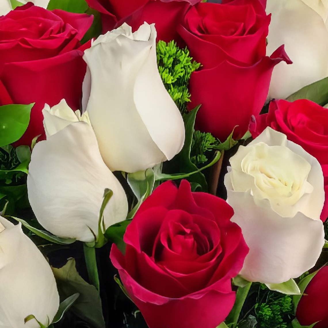 Ramo de 50 Rosas Mixtas Premium 2