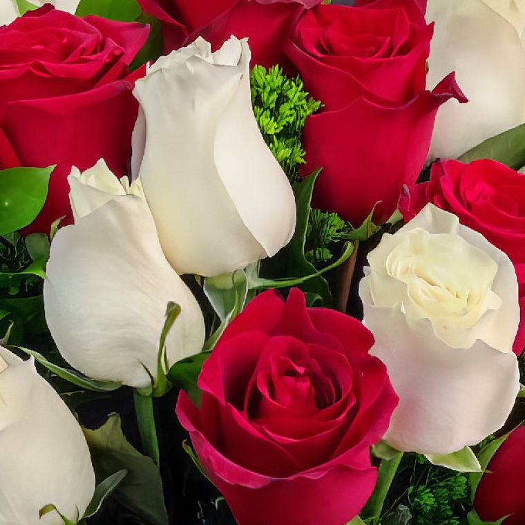 Ramo de 50 Rosas Mixtas Premium 2
