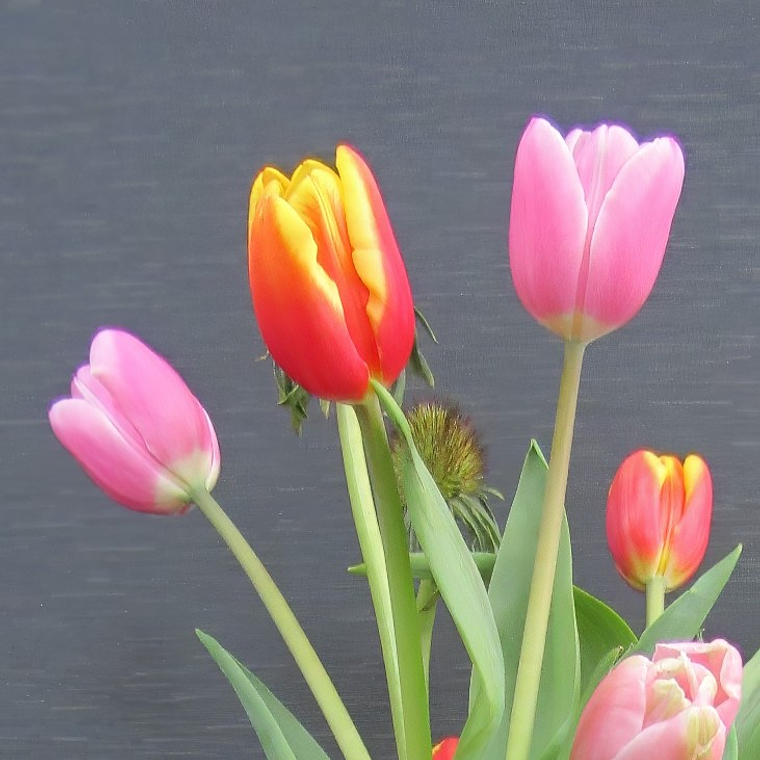 Arreglo de Tulipanes Rosados y Gerberas 3