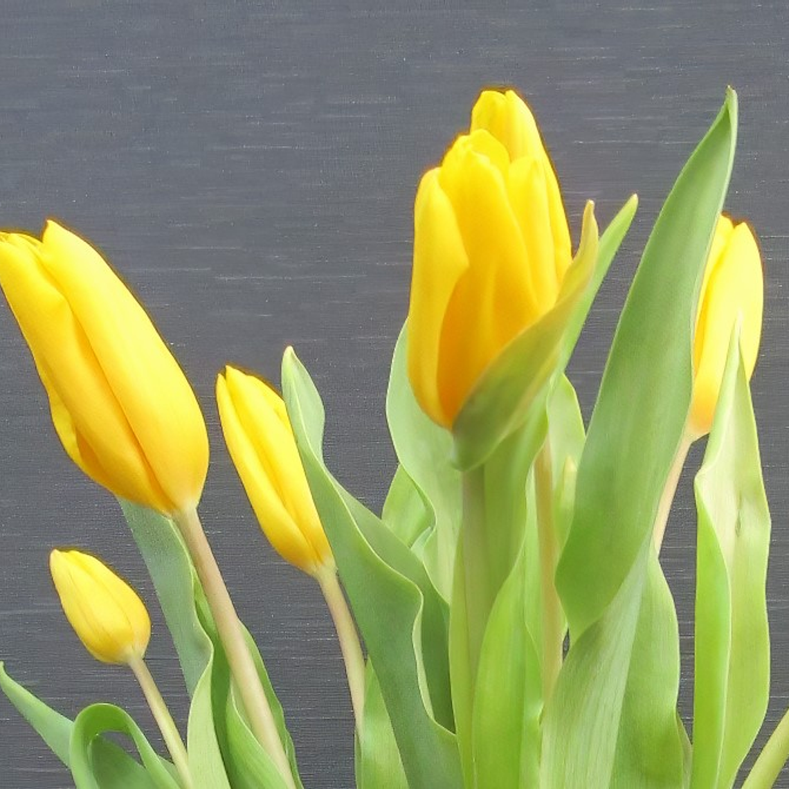 Arreglo de Tulipanes Amarillos y Ranúnculos  2