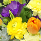 Arreglo Floral Tulipanes y Lisianthus – Alegría Vibrante - thumbnail 2