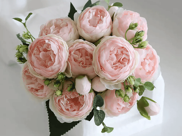 La Elegancia de las Peonías: Variedades, Colores, Cuidados y Épocas del Año