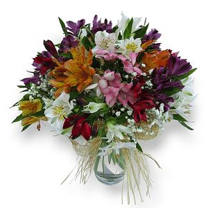 Arreglo Floral Alstroemerias – Alegría