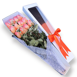 Caja de 12 rosas bicolor