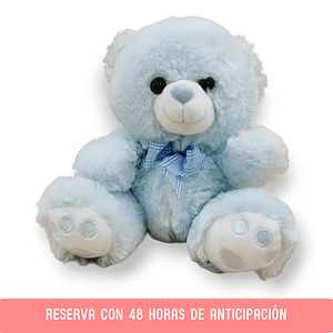 Oso de Peluche celeste