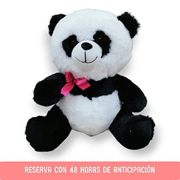 Oso Panda