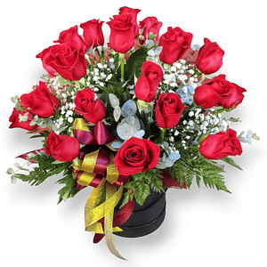 Box de 24 Rosas