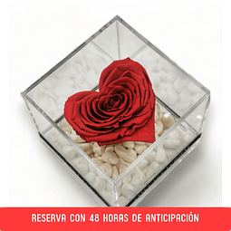 Cubo con rosa eterna roja forma de corazón