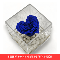 Cubo con rosa eterna azul forma de corazón