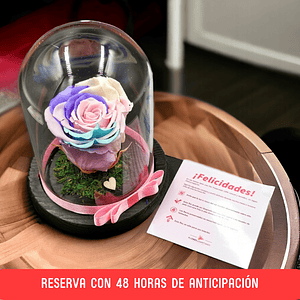 Rosa Eterna Multicolor en Cúpula – Reserva 48h 