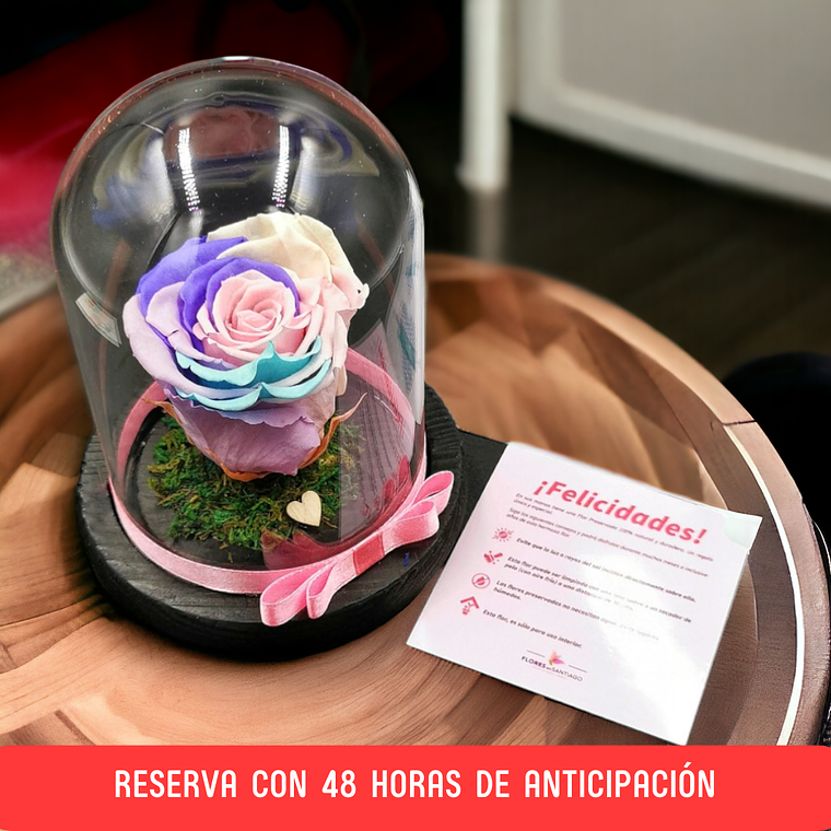 Rosa Eterna Multicolor en Cúpula – Reserva 48h  1