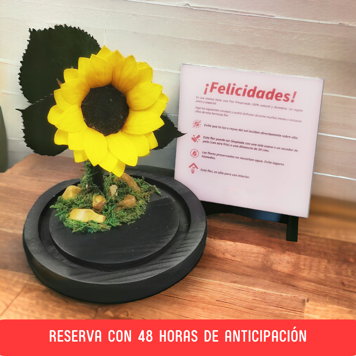 Baby Girasol Eterno 1