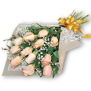 Ramo de 12 Rosas Durazno y Gipsofilia