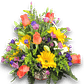 Cesta de Flores mixtas con explosión de Alegría - Miniatura 1