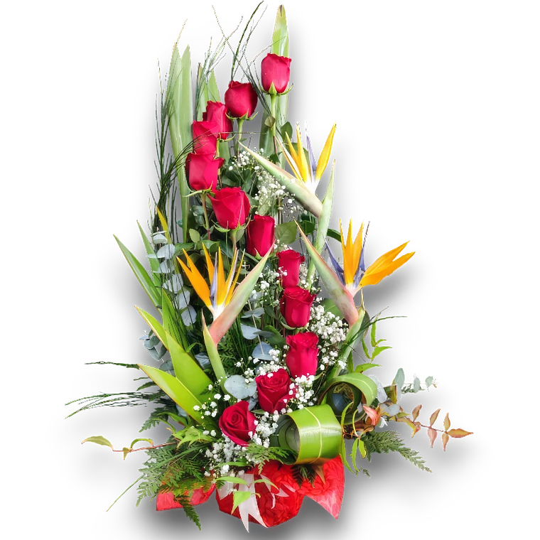 Espiral de Rosas Rojas y Strelitzias 1