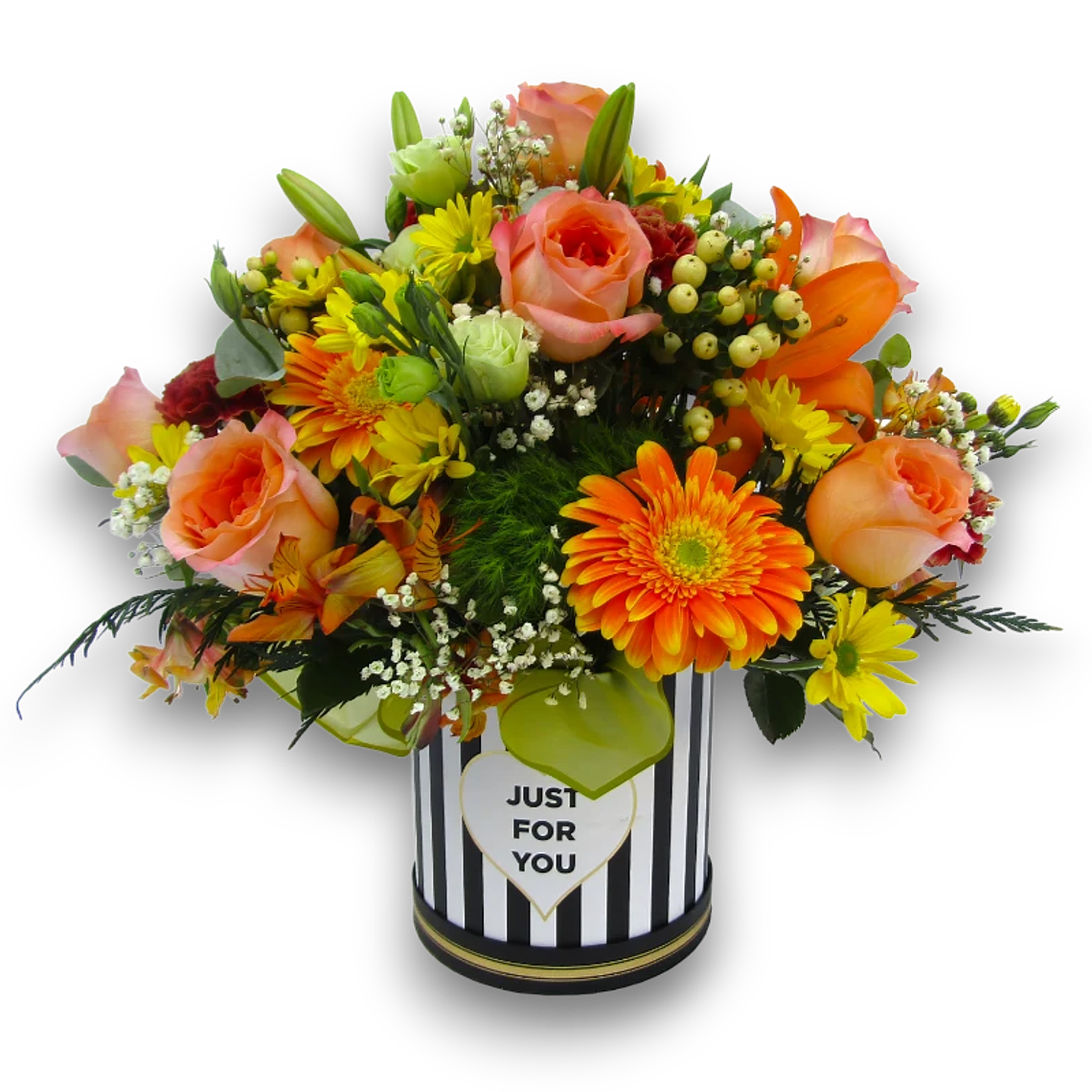 Box Brillo anaranjado 1