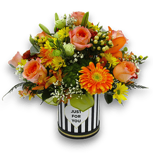 Box Brillo anaranjado