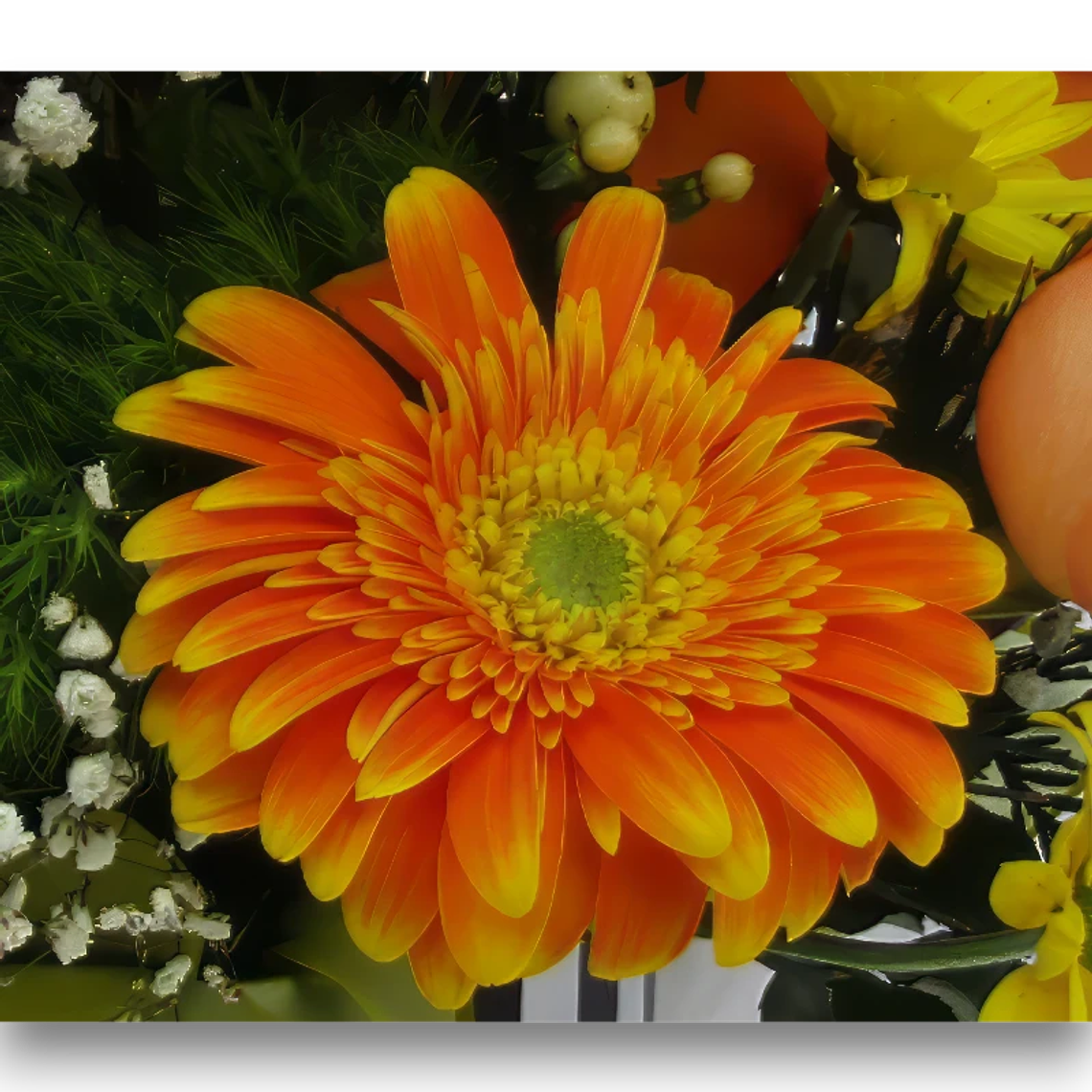 Box Brillo anaranjado 2