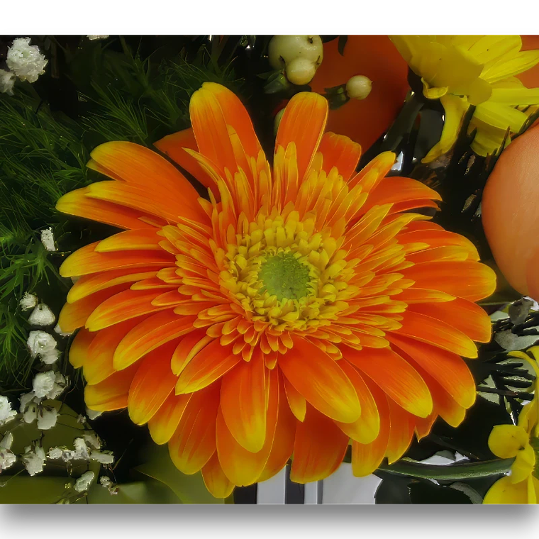 Box Brillo anaranjado 2