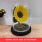 Girasol Eterno [M] - Miniatura 3