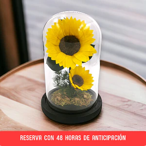 Dúo de Girasoles [XXL]