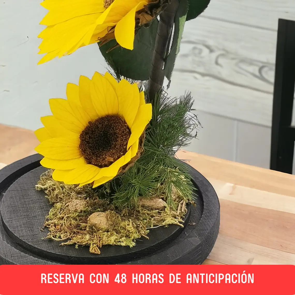 Dúo de Girasoles [XXL] 3