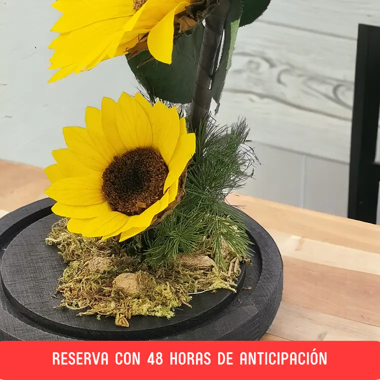 Dúo de Girasoles [XXL] 3