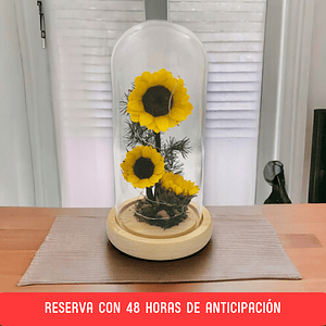 Trío de Girasoles Eternos [Con Luces]