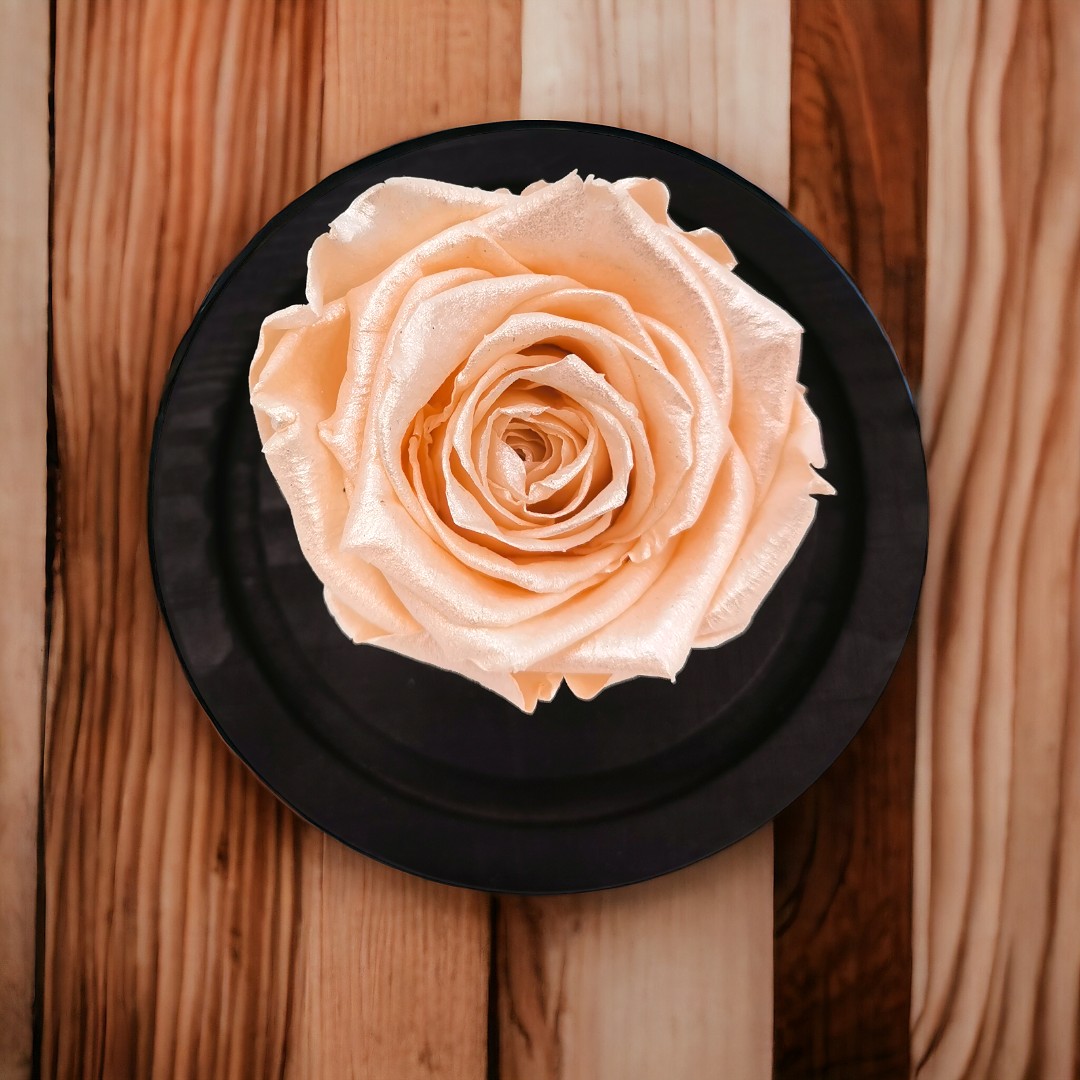 Baby Rose Satinada [Rosa Pastel]