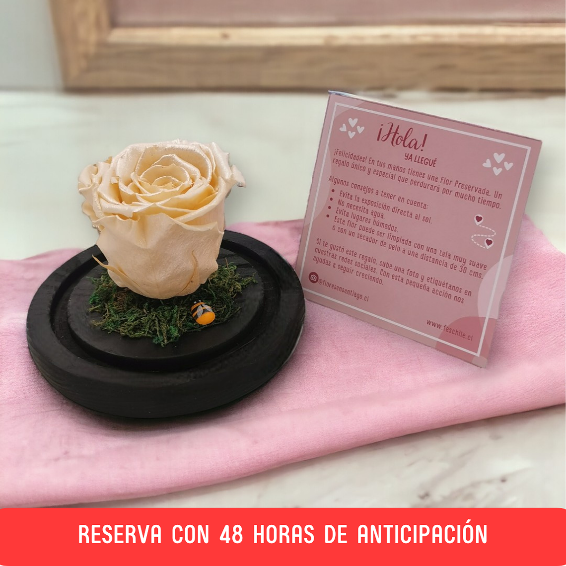 Rosa Eterna Durazno en Cúpula – Reserva 48h 1