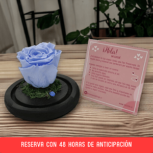 Rosa Eterna Violeta en Cúpula – Reserva 48h