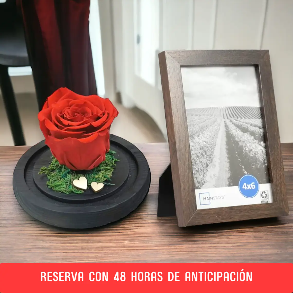 Baby Rose + Fotografía  1