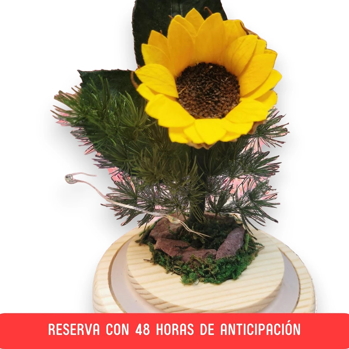 Mini Girasol en Cúpula de luces 1