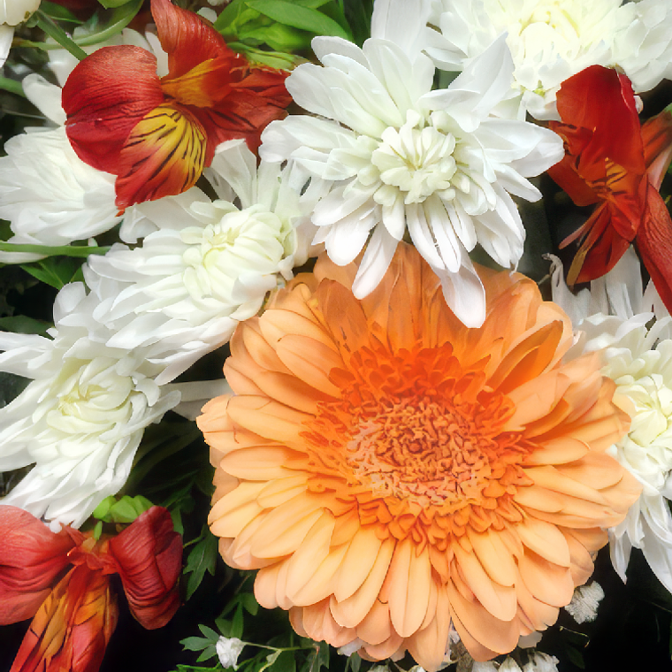 Mini Cojín de Condolencias Mixto 2