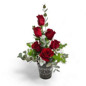 Arreglo de Rosas Rojas en Macetero