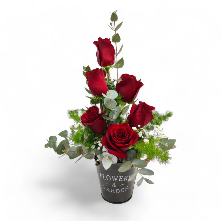 Arreglo de Rosas Rojas en Macetero 1