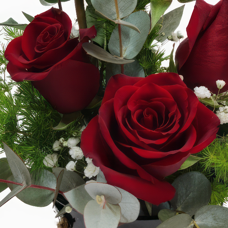 Arreglo de Rosas Rojas en Macetero 2