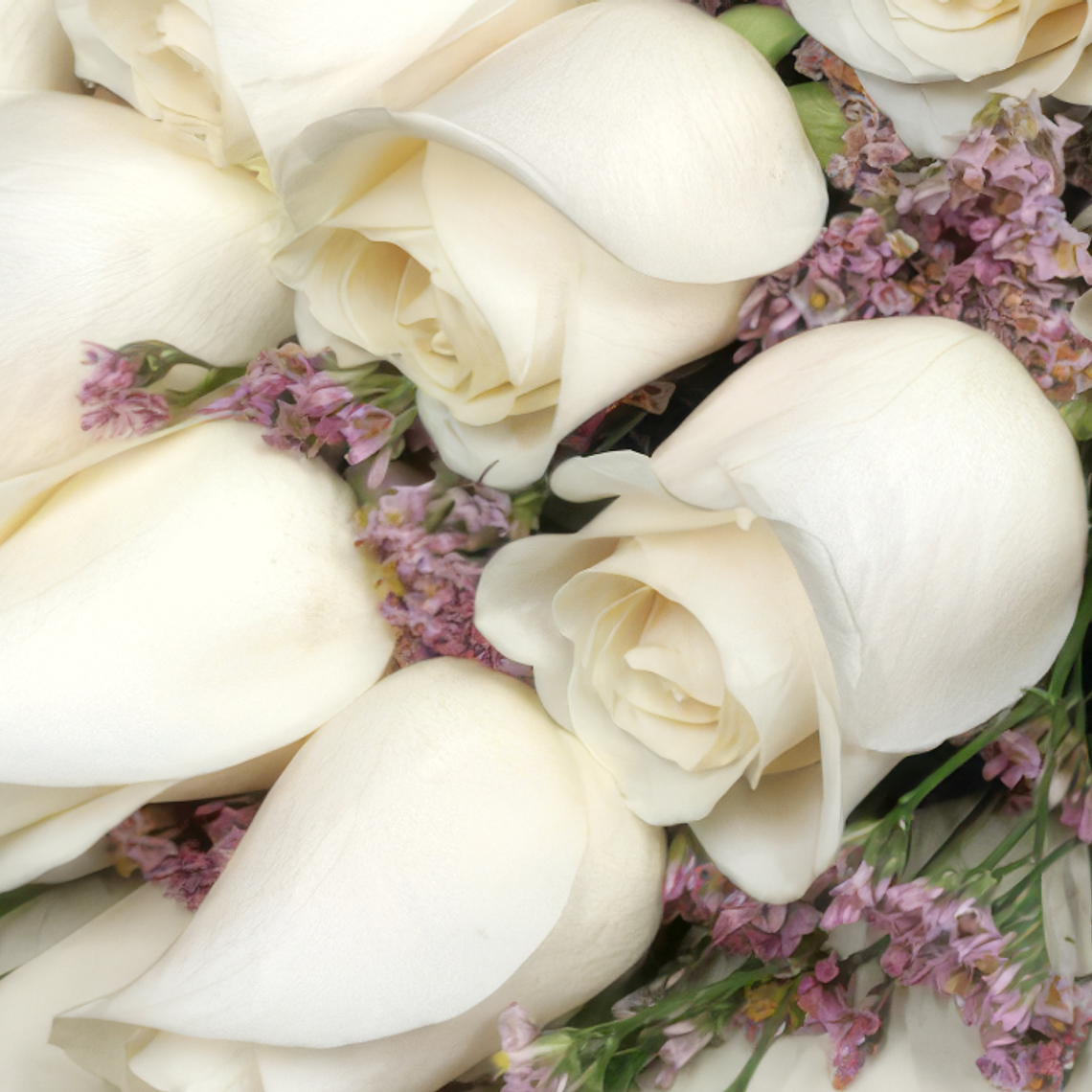 Ramo de 12 Rosas Blancas Frescas  [Elija Color] 2