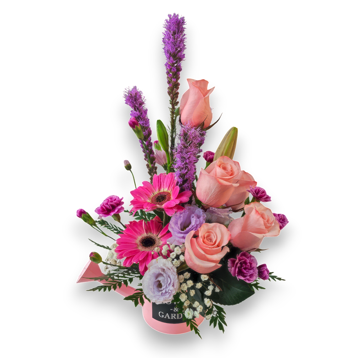 Arreglo de Rosas Durazno, Gerberas y Liatris en Regadera  1