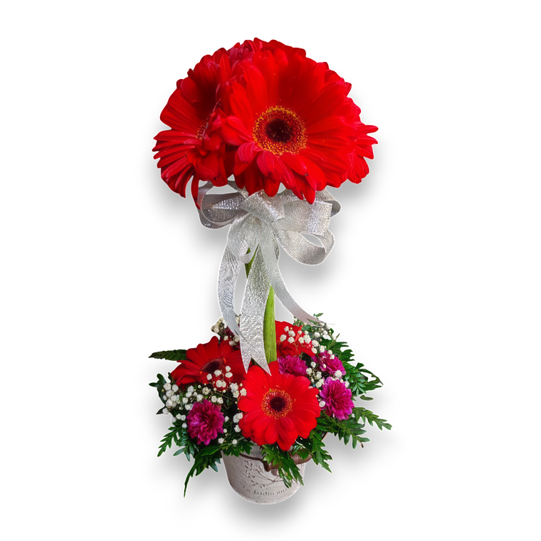 Arreglo de Gerberas Rojas en Topiario 1